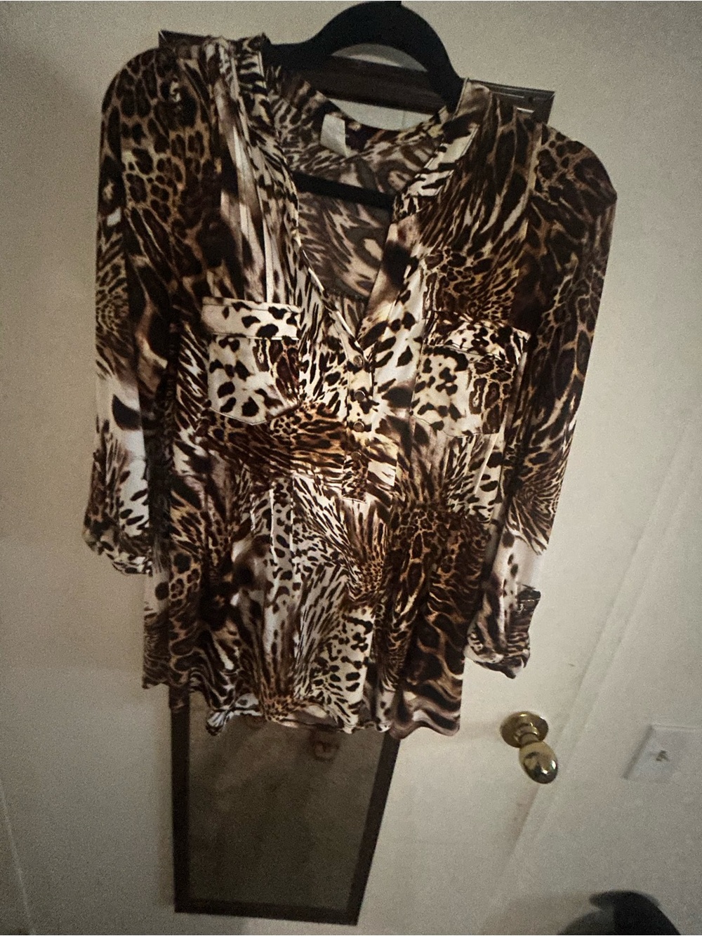 Cocomo Animal-Print V-Neck Tunic in Brown and Cream